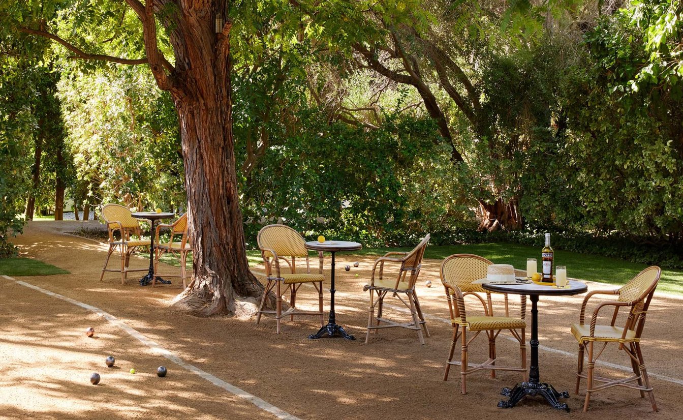 a serene outdoor seating area with tables and chairs under trees