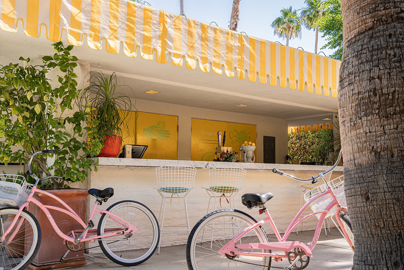 Parker Palm Springs — photo 53 of 60