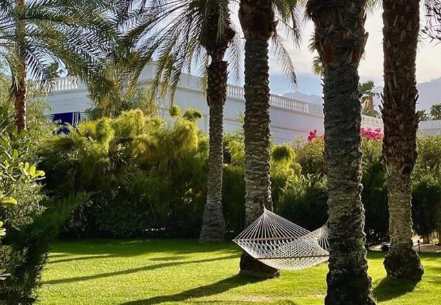 A hammock is set between palm trees on a manicured lawn with shrubs and a mountain view.