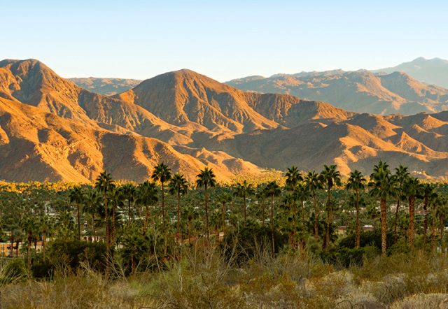 a desert landscape with mountains in the background and palm trees in the foreground