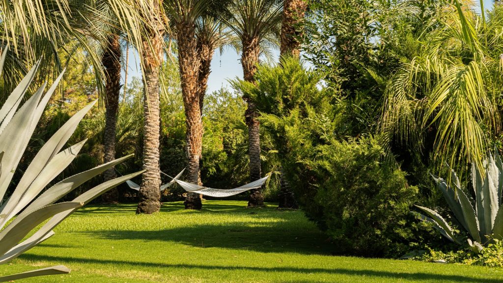 Grounds with Hammock