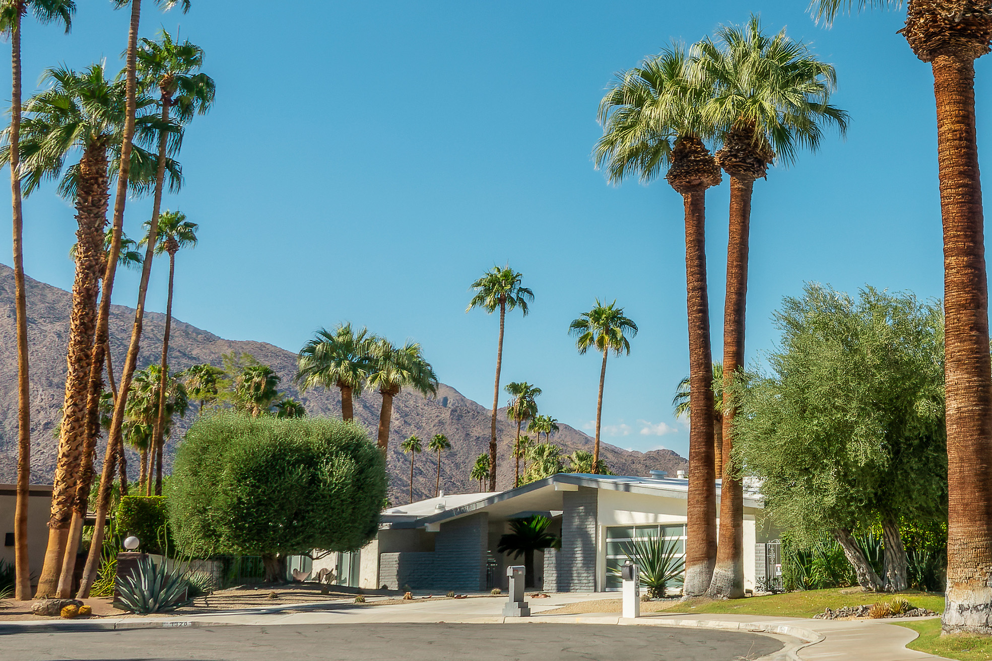Fall Modernism Week Parker Palm Springs