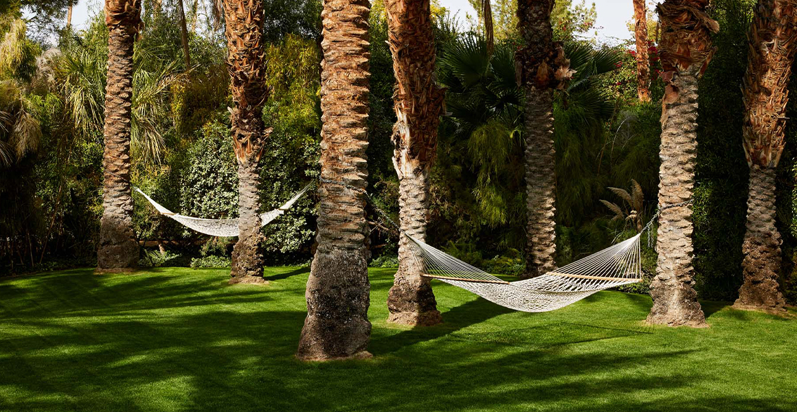 hammocks