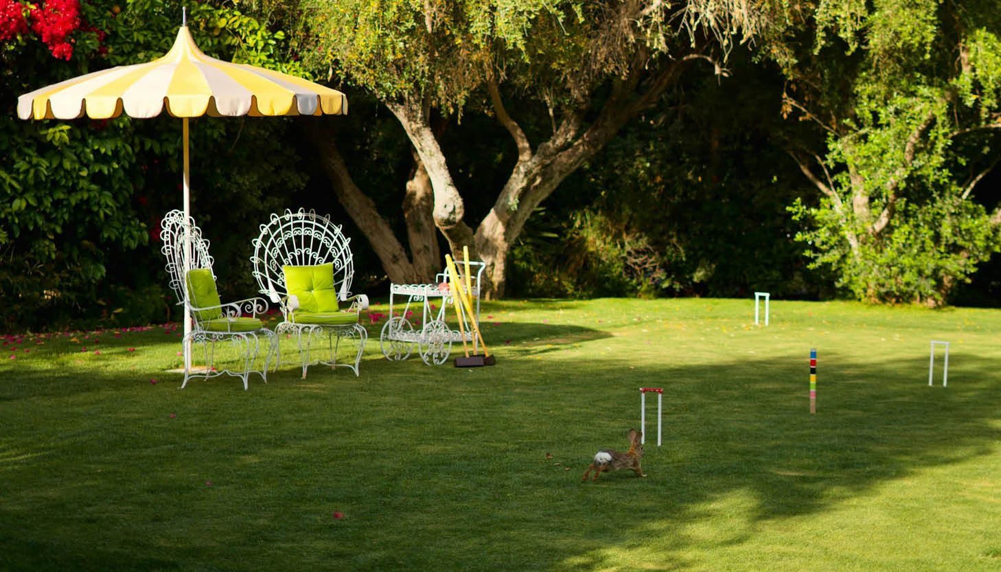 Croquete lawn