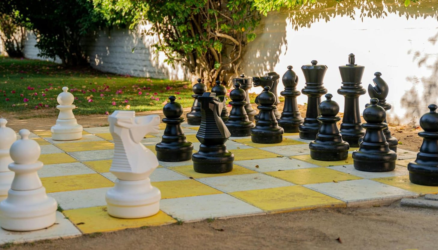 Giant chess