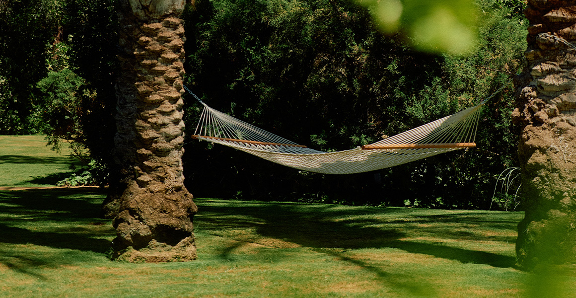 A rope hammock strung between two palm trees in a garden.